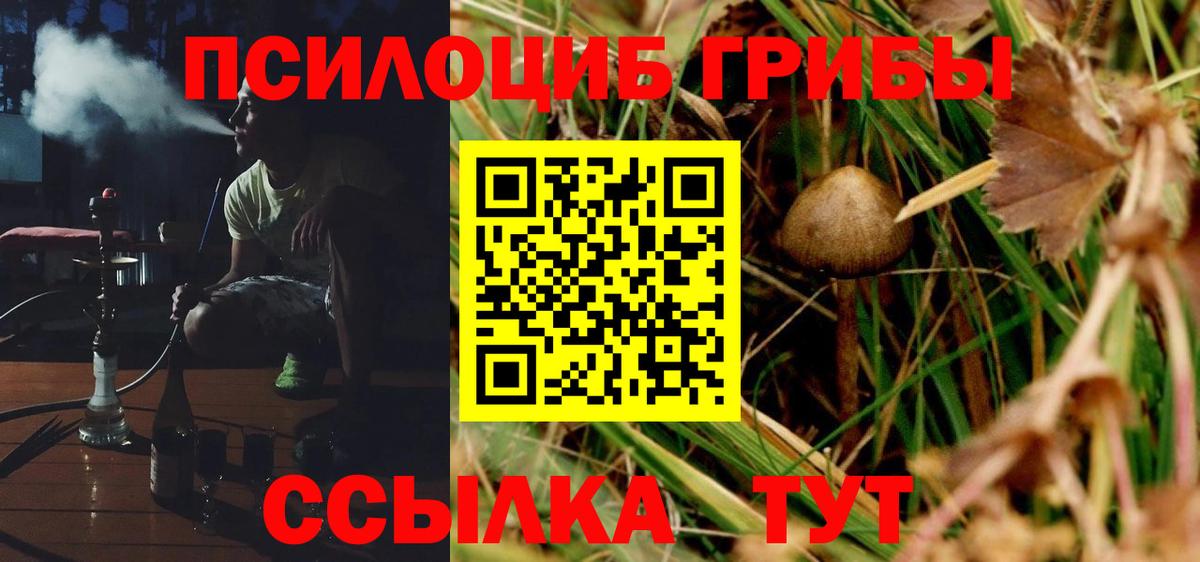Кубинка  Псилоцибиновые грибы Psilocybine cubensis  Вход с VPN 